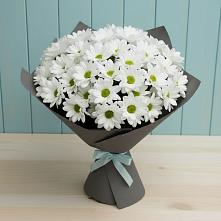 Букет цветов из:  Хризантемы #REPLACE_PRED# Ленинске