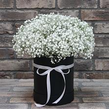Цветочная композиция из Гипсофила в шляпной коробке в Ленинске